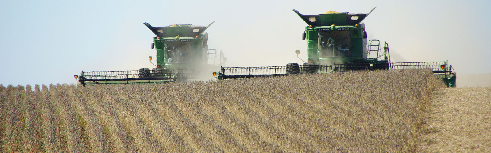 Crop Mix Crop Mix - Sylte Farms - Grain and Cattle Farm - South Dakota